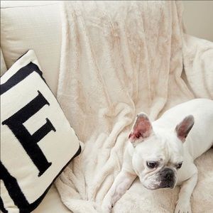 Comfy Throw Blanket NWT!